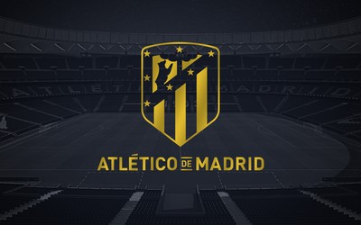 飞亚体育独家-马赫雷斯面对点球一蹴而就