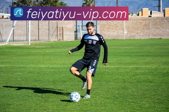 飞亚体育VIP平台生态图