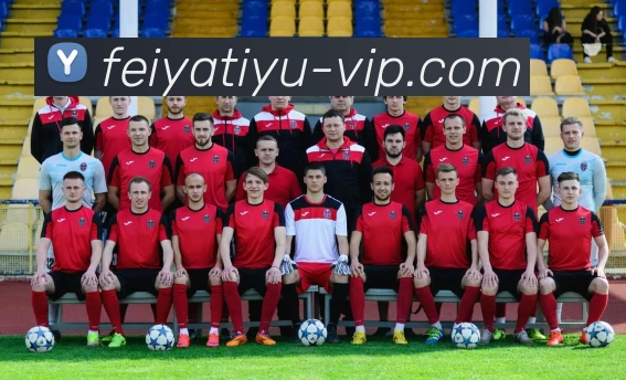 飞亚体育VIPAPP 封面图